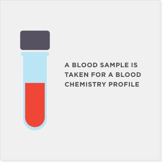 Illustration of blood in a test tube. A blood sample is taken for a blood chemistry profile.