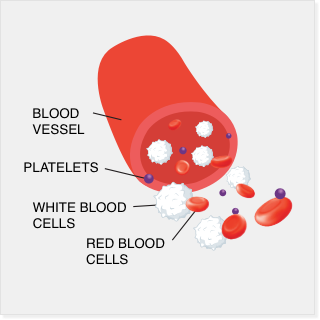 Illustration of a blood vessel. Inside the vessel there are platelets, white blood cells, and red blood cells.
