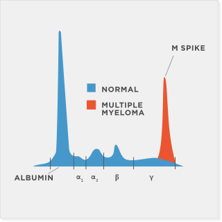 Understand and Track Your Multiple Myeloma Lab Tests